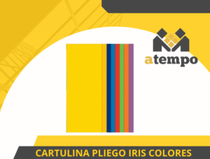 CARTULINA PLIEGO IRIS COLORES